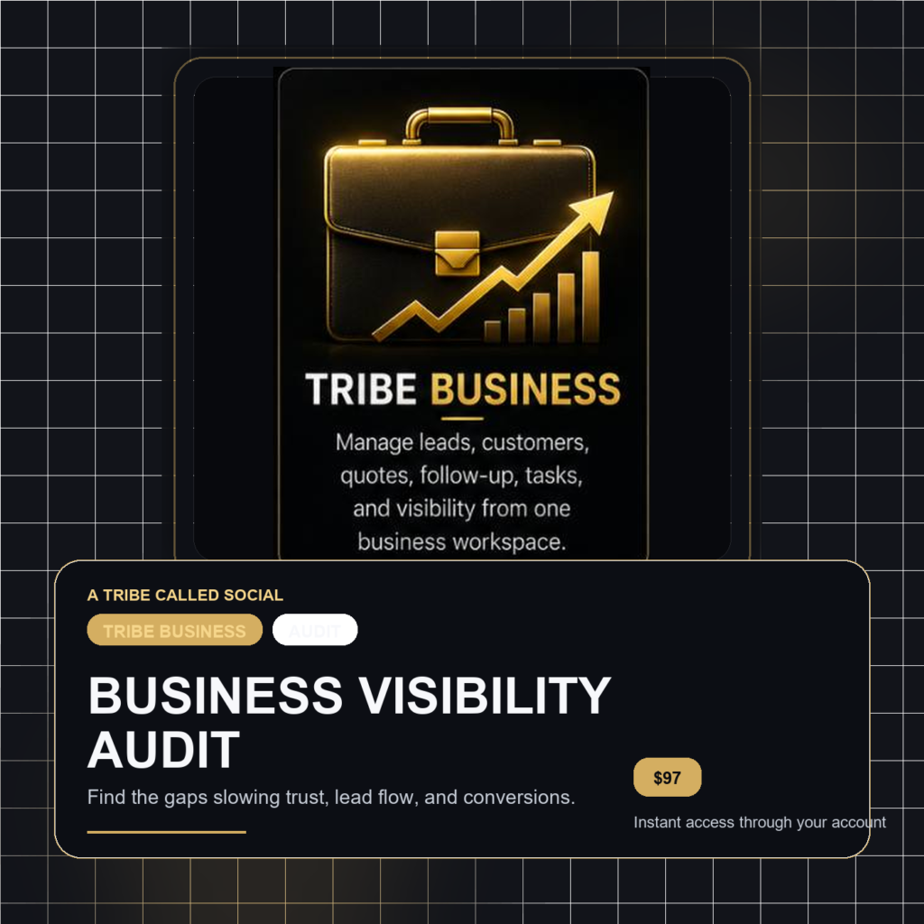 Business Visibility Audit