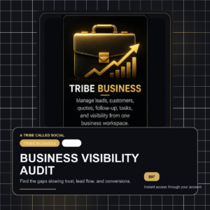 Business Visibility Audit